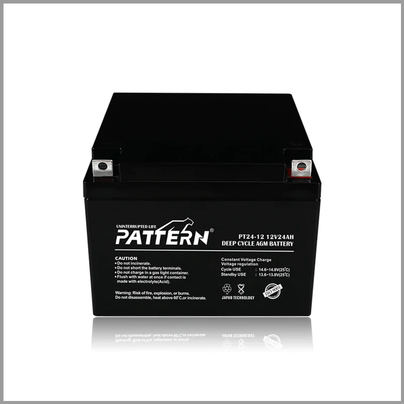 AGM battery PT24-12 — main view