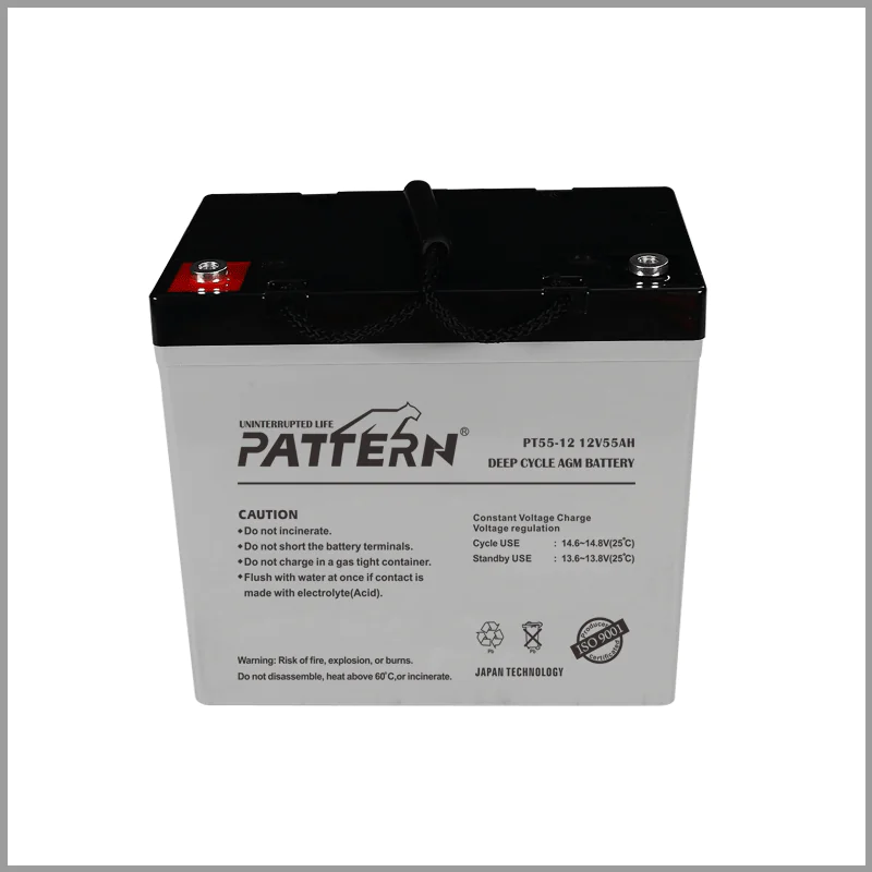 AGM battery PT55-12 — main view