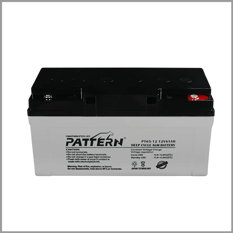AGM battery PT65-12 — main view