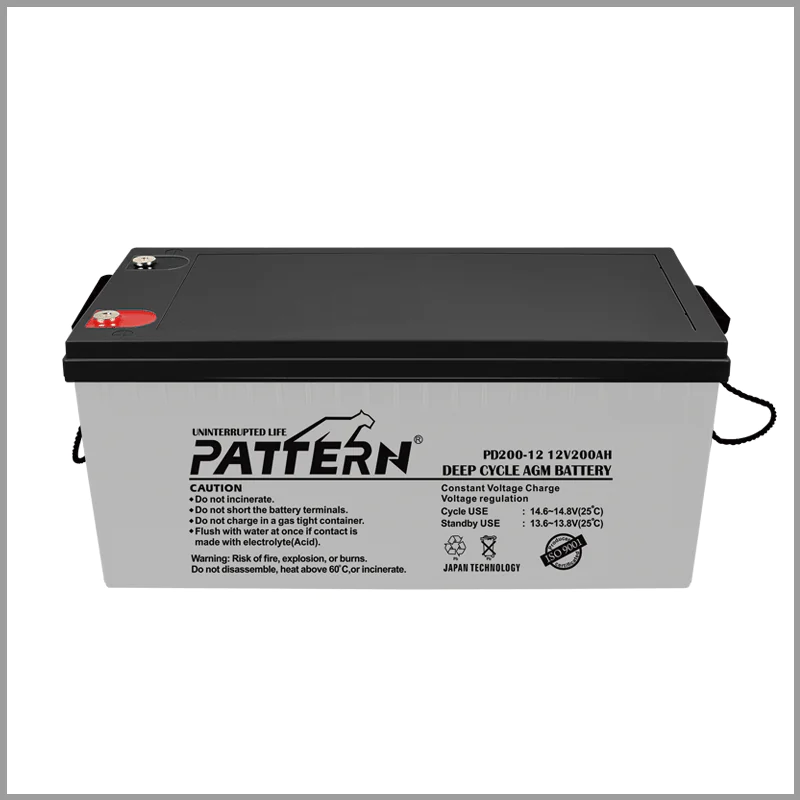 Deep Cycle Battery PD200-12 — main view