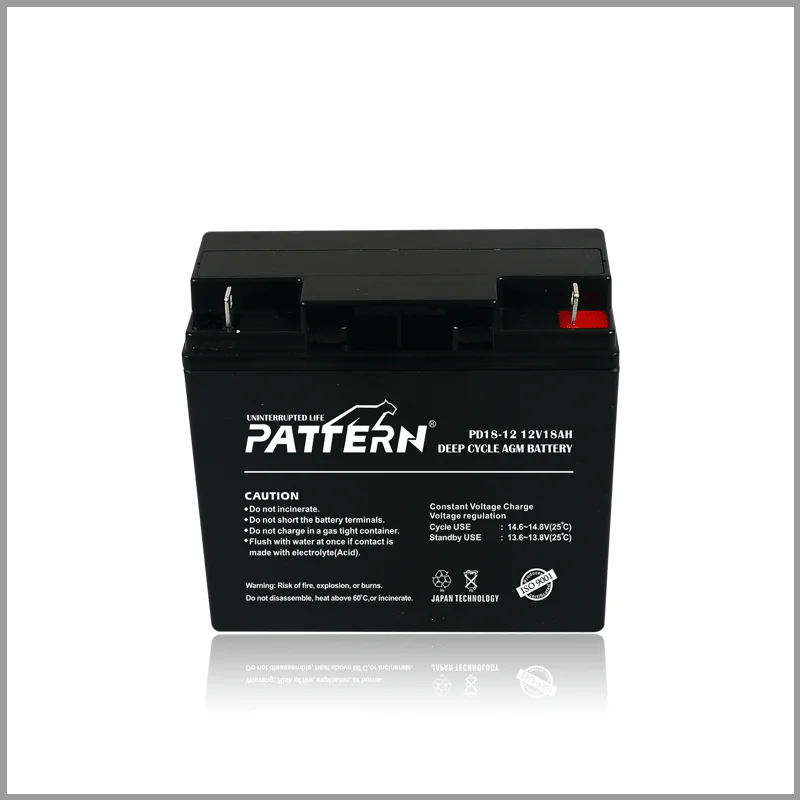 Deep Cycle Battery PD24-12 — main view