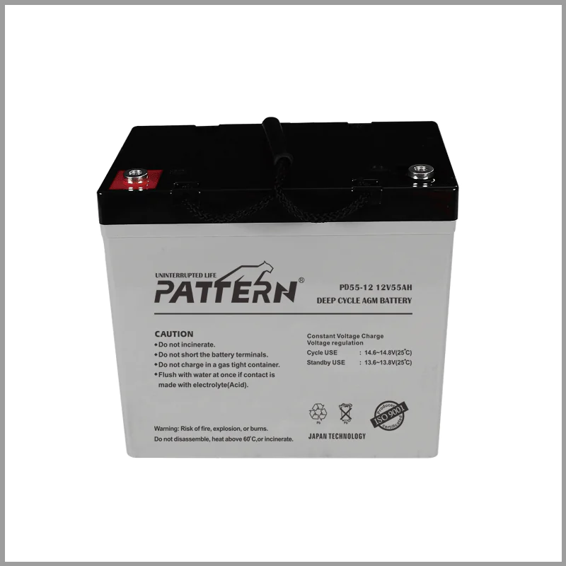 Deep Cycle Battery PD55-12 — main view