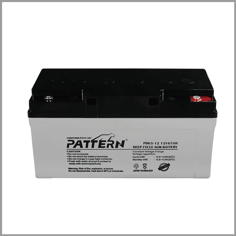 Deep Cycle Battery PD65-12 — main view