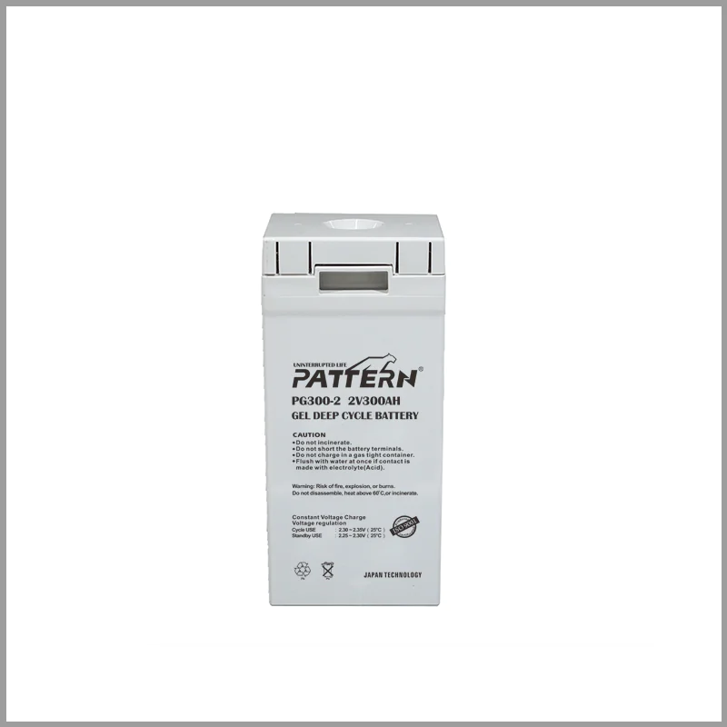GEL Battery PG300-2 — main view