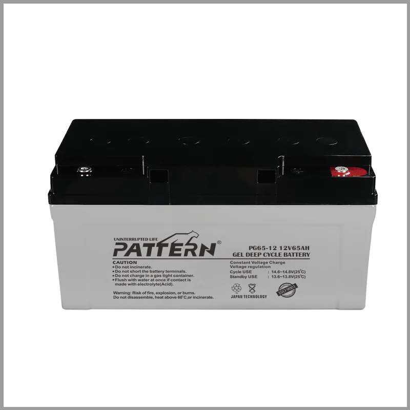 GEL Battery PG65-12 — main view